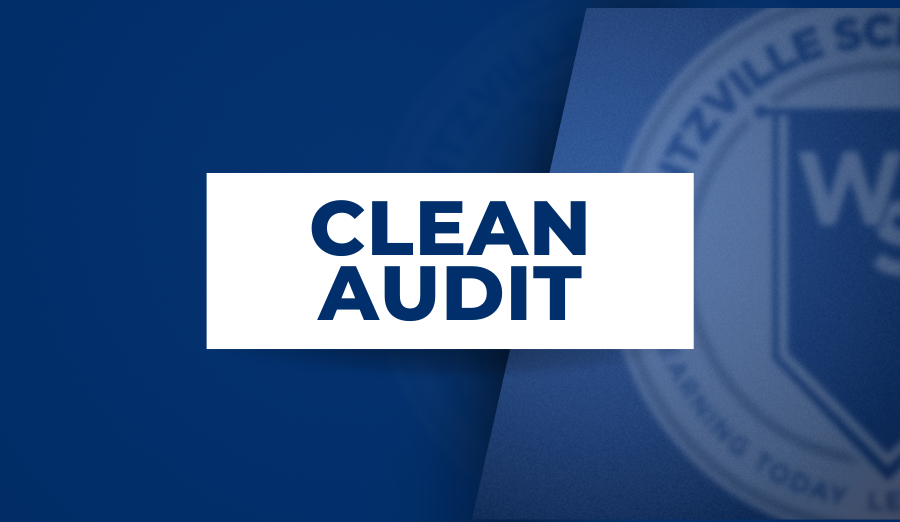  Clean Audit